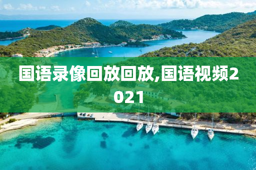 国语录像回放回放,国语视频2021